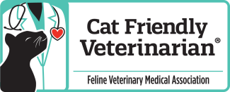cat friendly vet